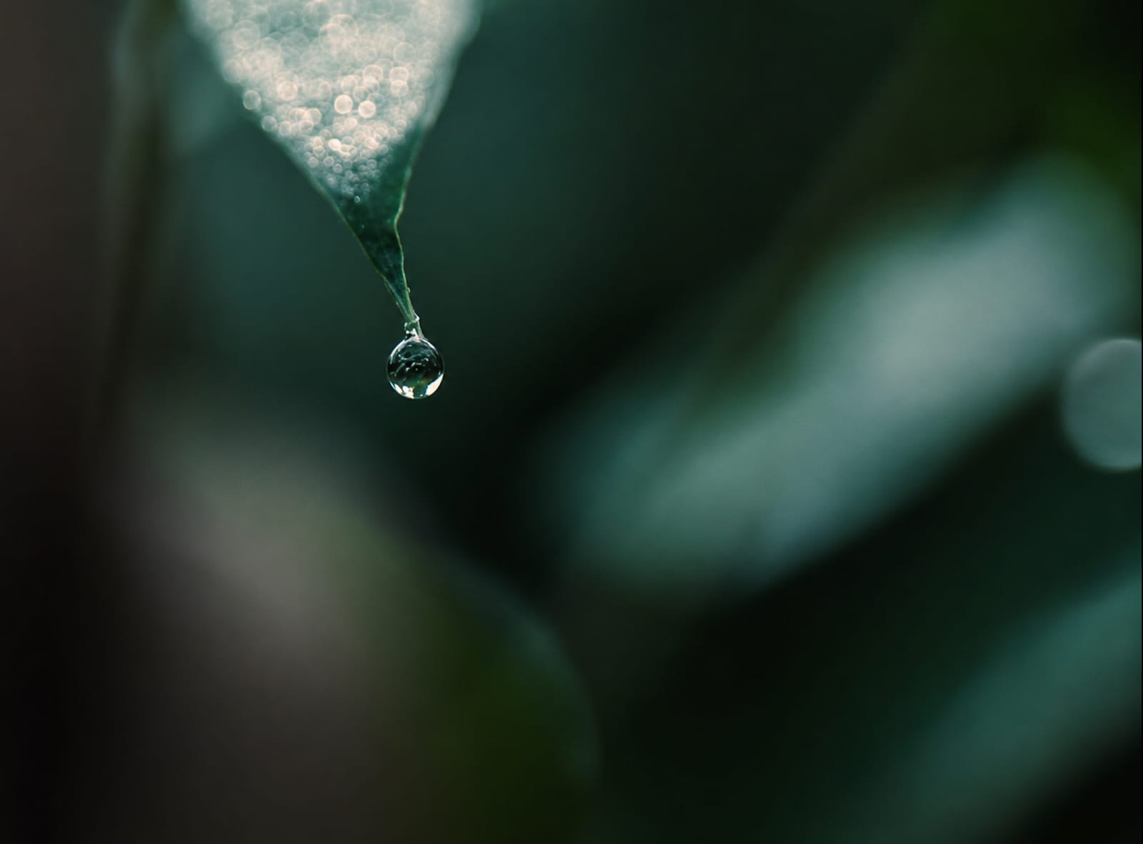 Elixir