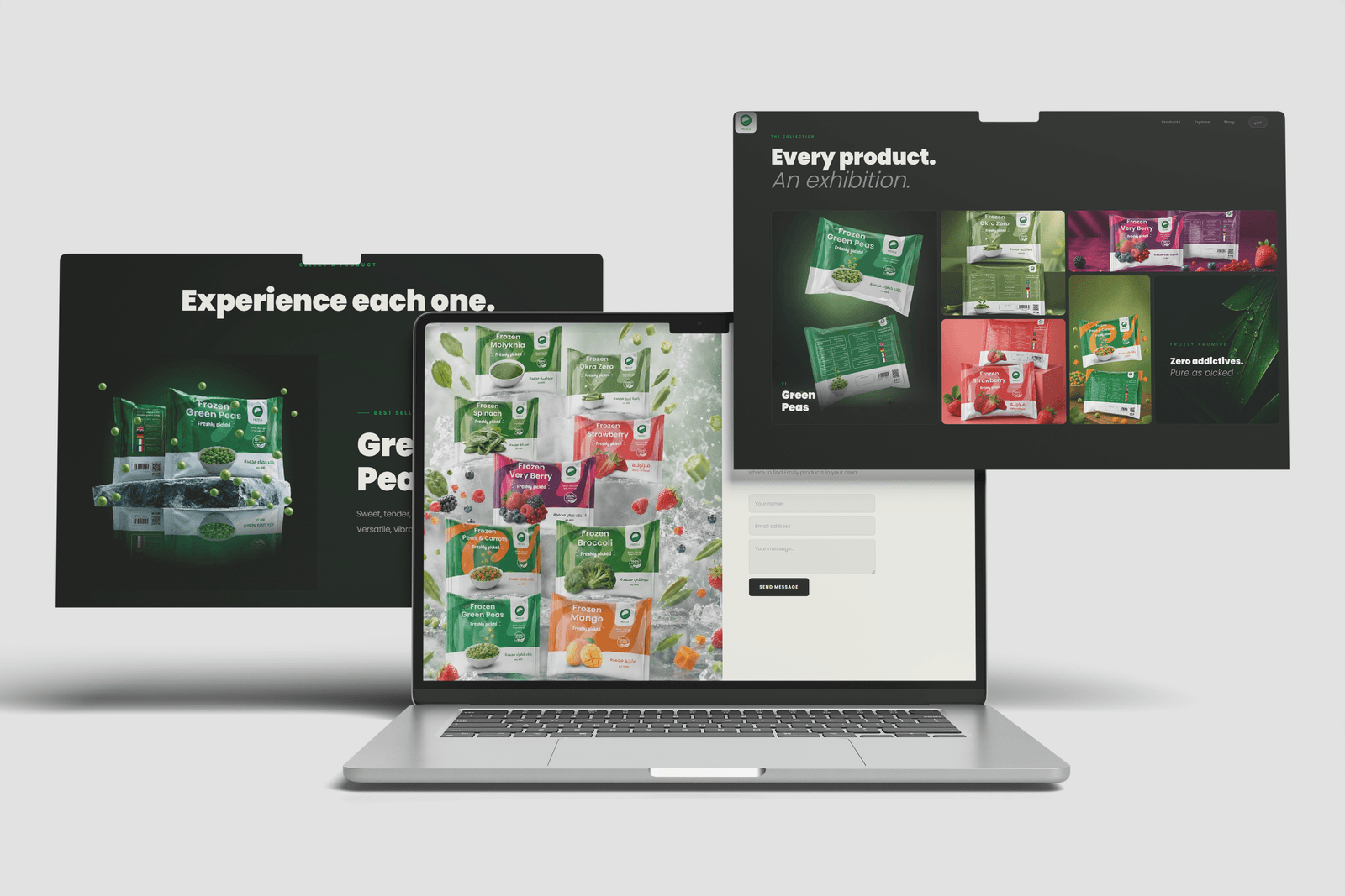 Frozly Website Design