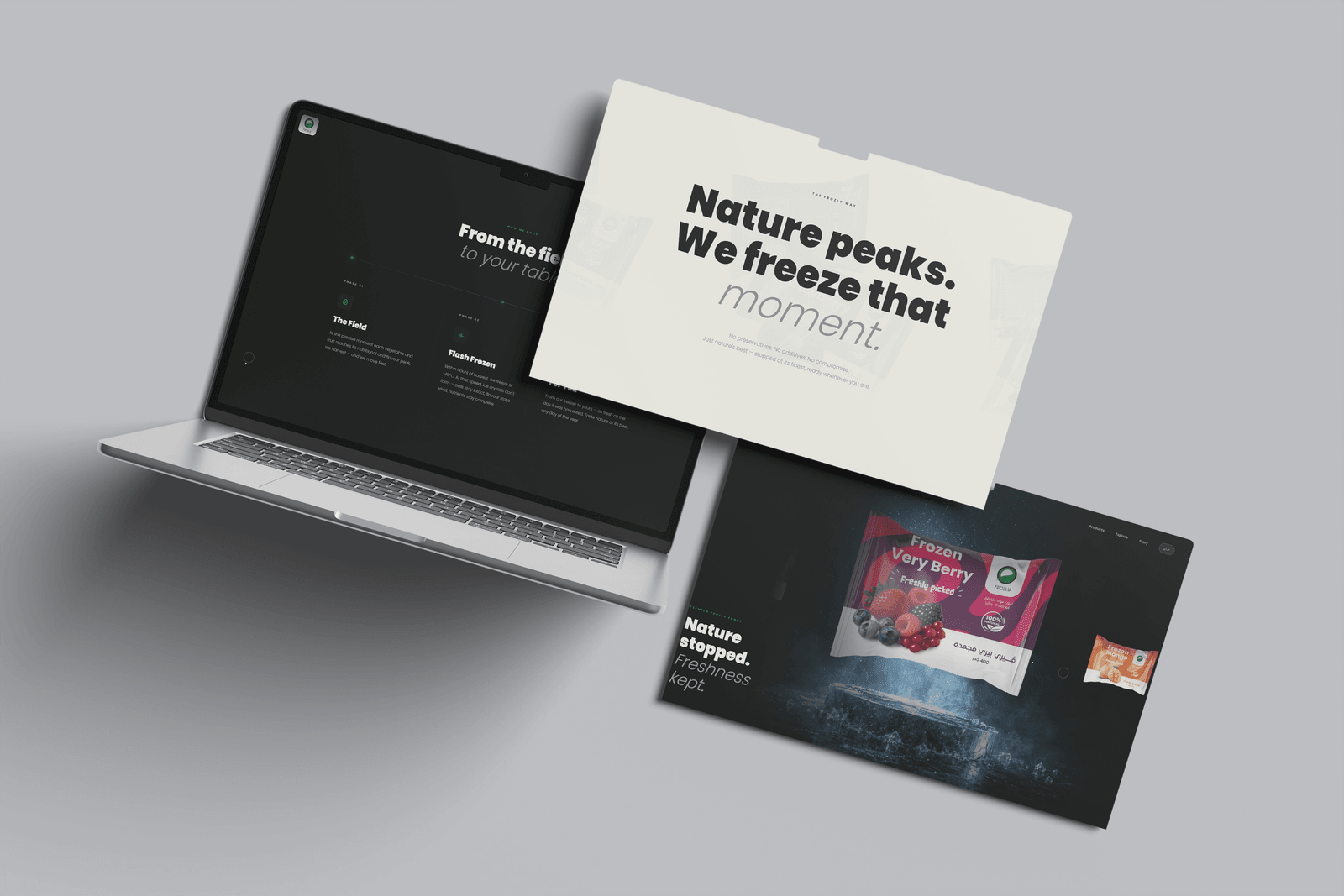 Frozly Website Design